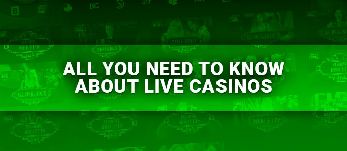Diverse gambling options elevate the experience. While live dealer games might be the primary focus, expanding to slots, other gambling varieties, or even online lottery tick all the boxes for a comprehensive entertainment package.