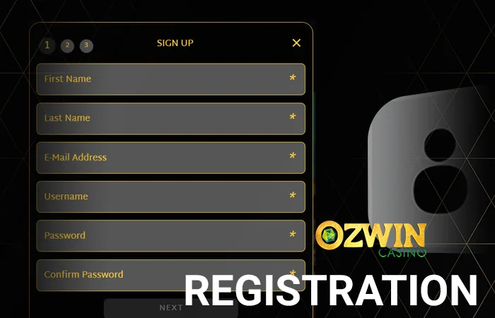 <b>First step</b> – Visit Ozwin’s official online page.