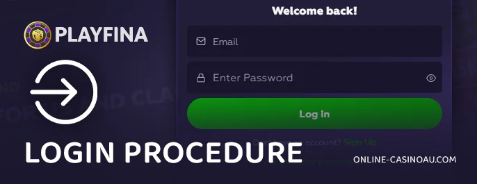 Instructions for Playfina Casino Authorization Process