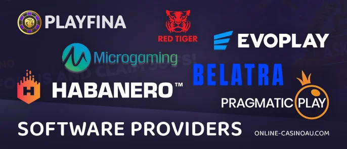 An overview of Playfina Casino's software partners.