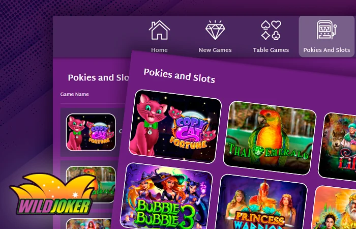 A Breakdown of Wild Joker Casino's Core Sections: Casino, Promotions, News, and Information
