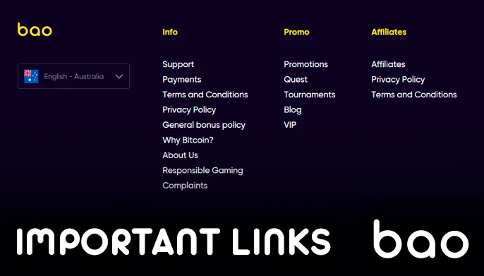 Vital information resources can be found at the bottom of the Bao Casino webpage