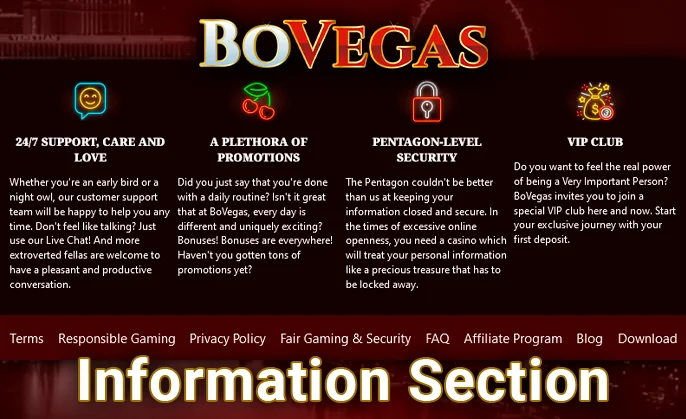 Digesting detailed insights on the BoVegas Casino website