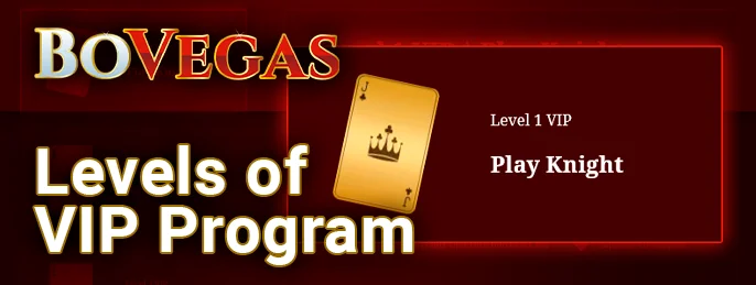 Understanding the ranking system for loyalty program levels on BoVegas Casino’s website.