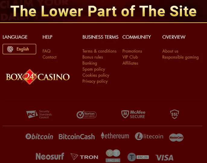 The page concludes with crucial logos: Security Standard Council, Norton Secured, McAfee Secure, and SSL. Additionally, payment methods like VISA, MasterCard, and Neosurf are clearly displayed.