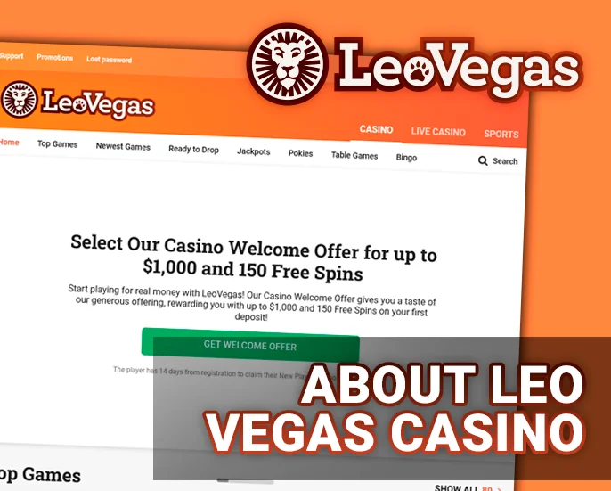 Uncover project details on the Real Money Leo Vegas Casino website.