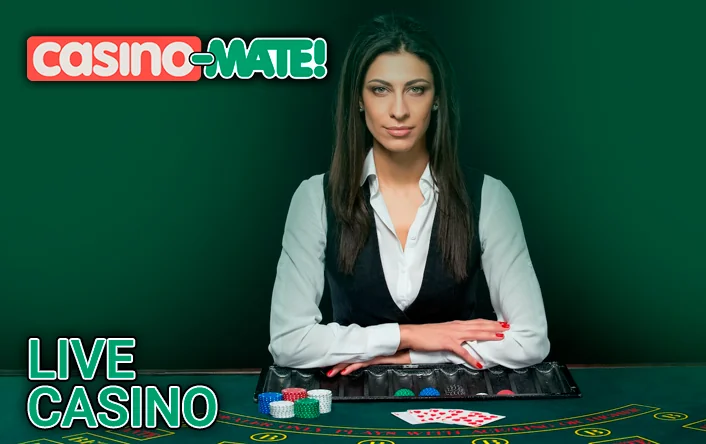 <b>About Us</b> – Quick overview of what Casino Mate is about;