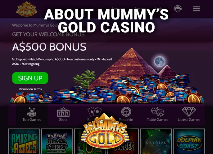 Mummy's Gold Casino Website: Real Money Gameplay, Casino Insight, and Licensing