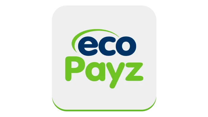 Visual Representation of the EcoPayz Payment Solution