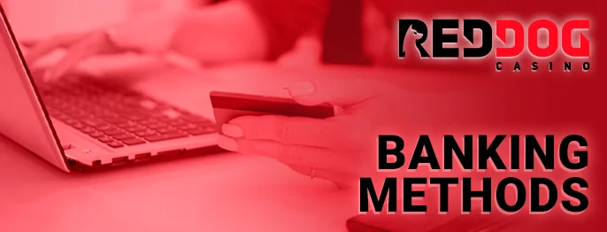 Once you've input your Red Dog login details and logged in, you're ready to make your initial deposit. Through our testing, we encountered no issues; the funds transfer instantly. If you face any hiccups, reach out to support. Here's a detailed guide to making your first deposit at Red Dog Casino: