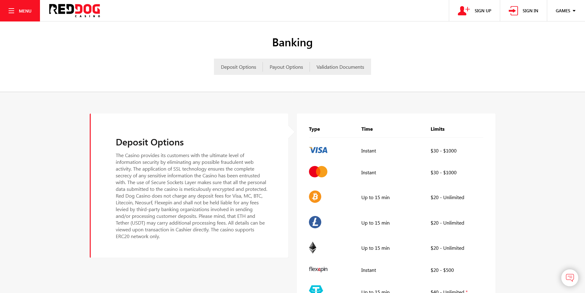 Illustration of the RedDog Casino's Payment Information Page