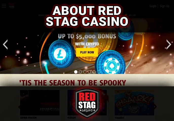 Red Stag's promotions are dynamic, featuring both consistent and evolving bonuses. Be sure to regularly check the 'Promotions' tab for exciting offers like extra funds or Free Spins.