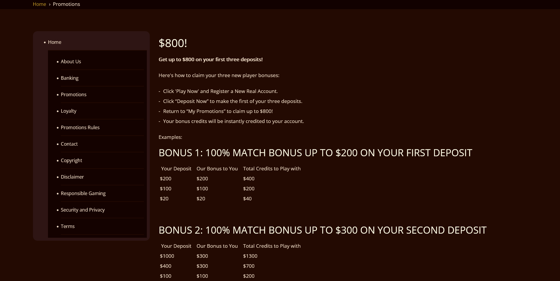 Dive into River Belle's Promotions and Bonuses Page