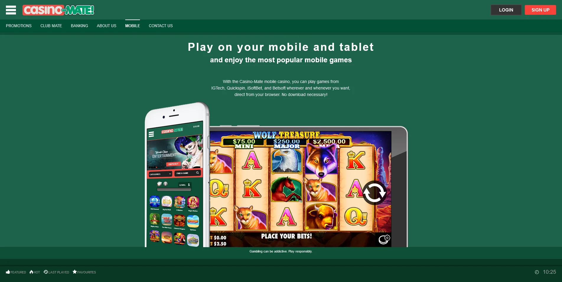 Snapshot of the Mobile Software section from Casino Mate