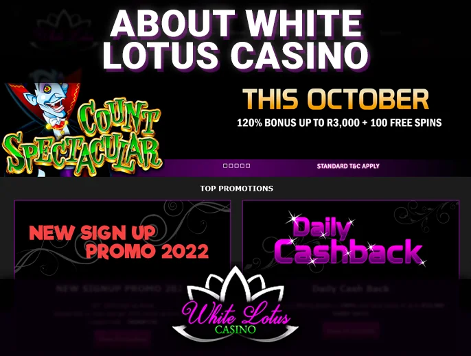 White Lotus Casino’s Site Setting Against the Backdrop of Its Main Page