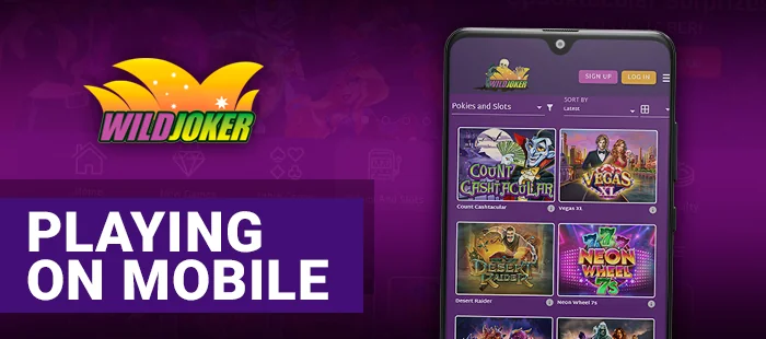 Finances at Wild Joker: A breakdown of the available payment options.