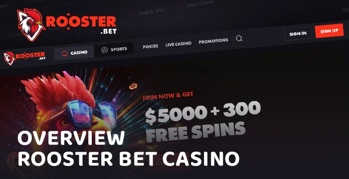 24/7 assistance available through multiple channels at Rooster Bet.