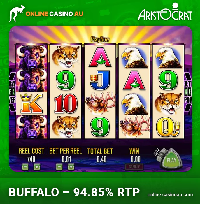 Experience Buffalo by Aristocrat