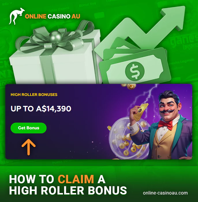 What payment avenues do online casinos with high roller bonuses use